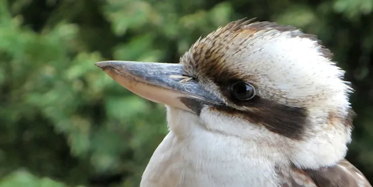 Imagen cabecera post