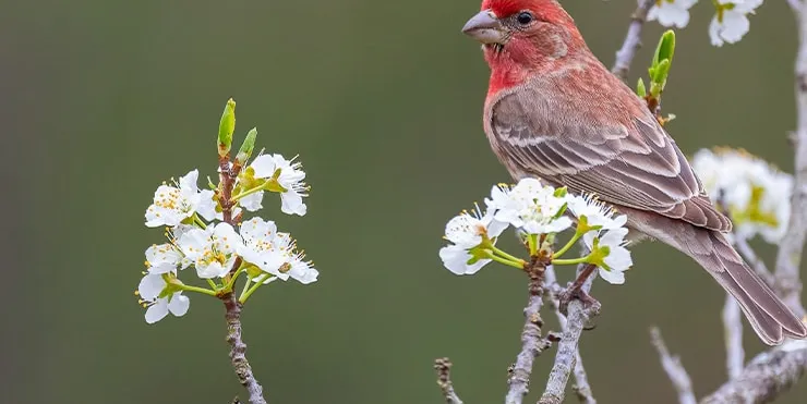 Imagen cabecera post