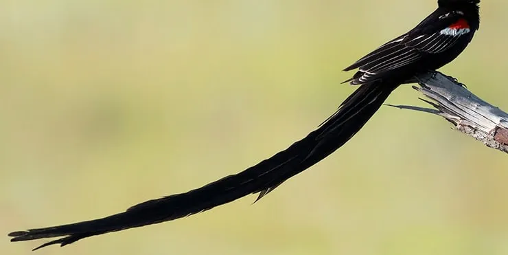 Imagen cabecera post