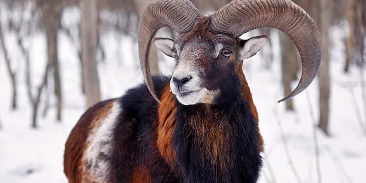 Imagen cabecera post