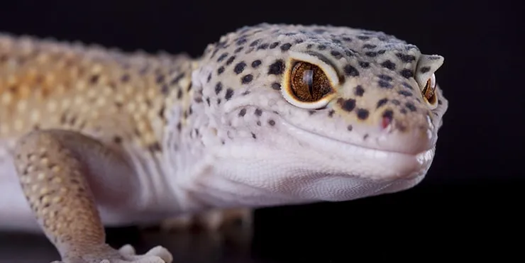 Imagen cabecera post