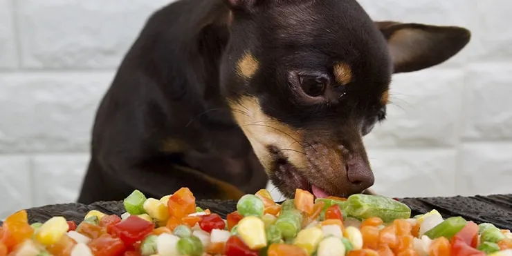 Imagen cabecera post