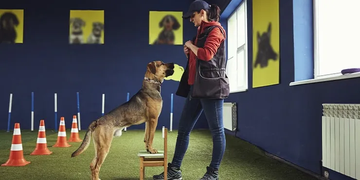 Imagen cabecera post