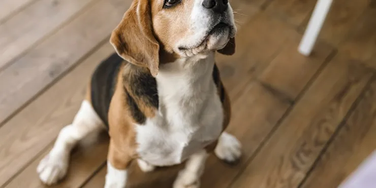 Imagen cabecera post