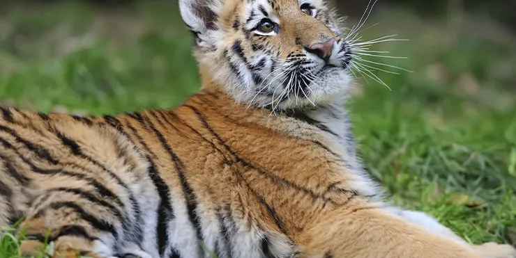 Imagen cabecera post