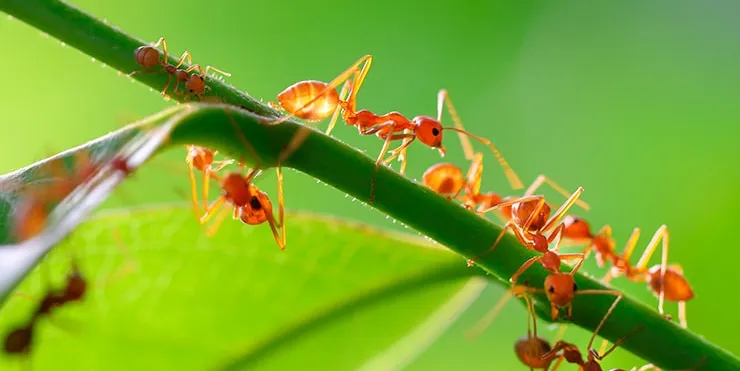 Imagen cabecera post