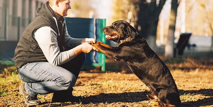 Imagen cabecera post