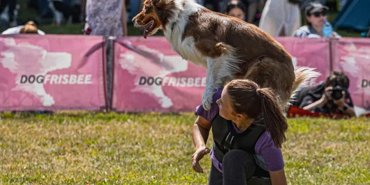 Imagen cabecera post