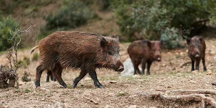 Imagen cabecera post