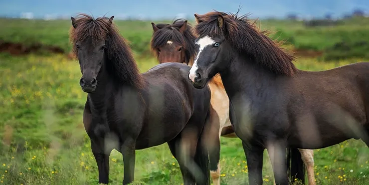 Imagen cabecera post