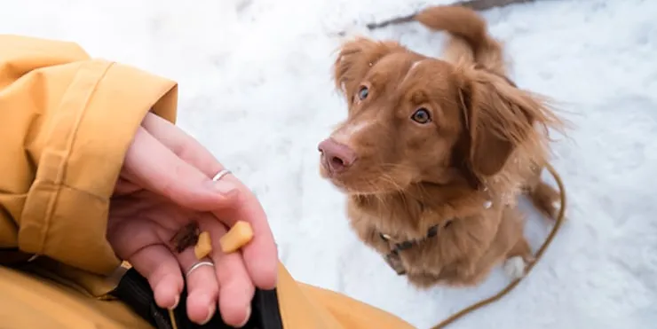 Imagen cabecera post