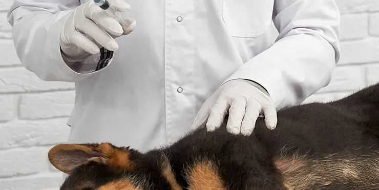 Imagen cabecera post