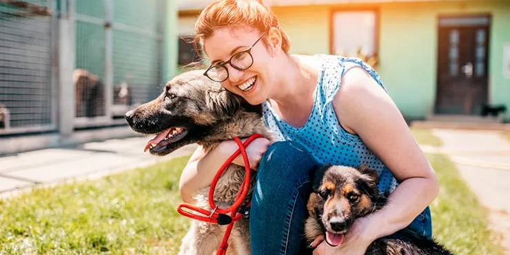 Imagen cabecera post