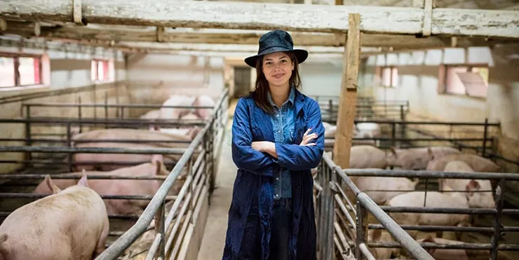 Imagen cabecera post