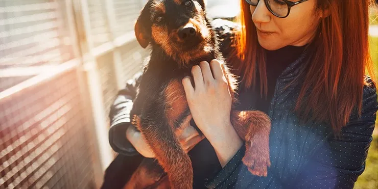 Imagen cabecera post