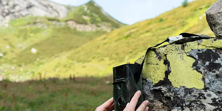 Imagen cabecera post