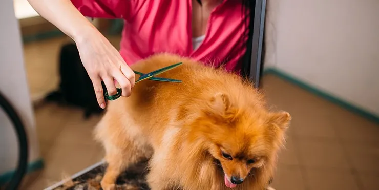 Imagen cabecera post