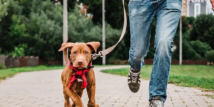 Imagen cabecera post