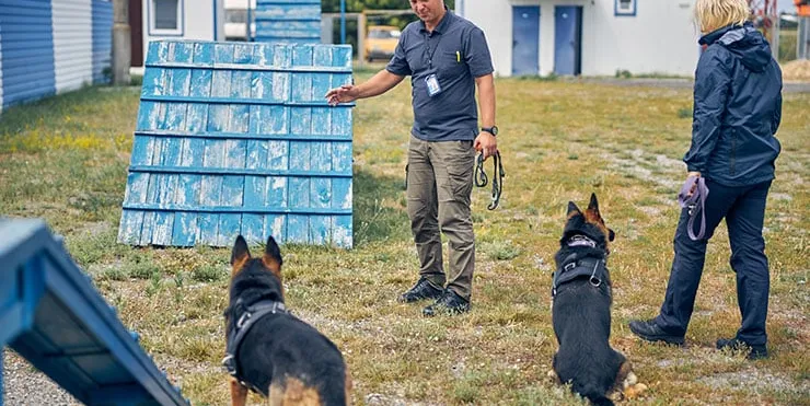 Imagen cabecera post