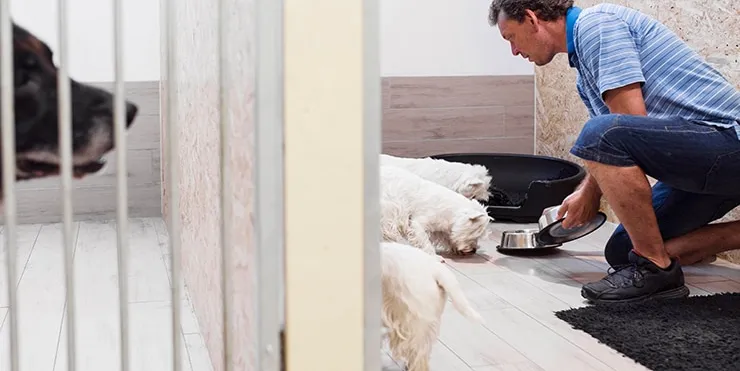 Imagen cabecera post