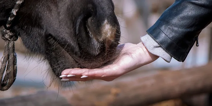 Imagen cabecera post