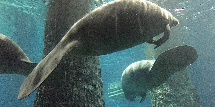 Imagen cabecera post