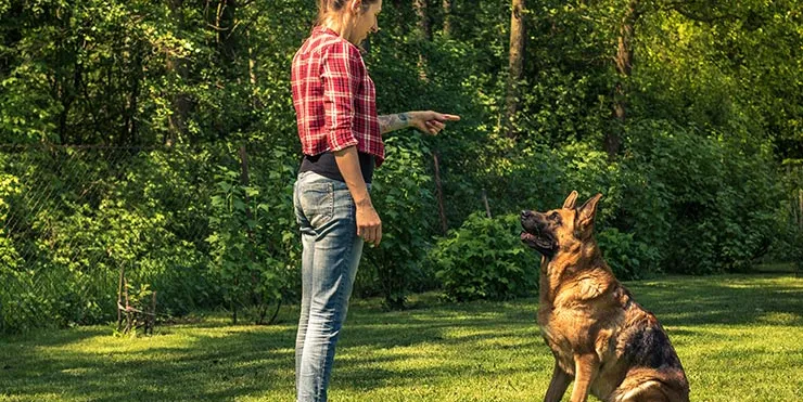 Imagen cabecera post