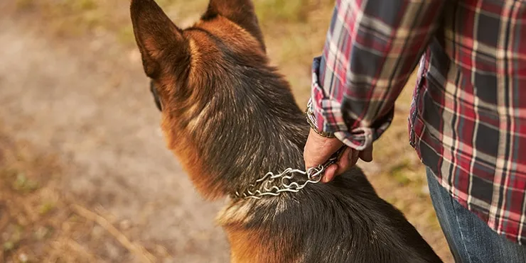 Imagen cabecera post