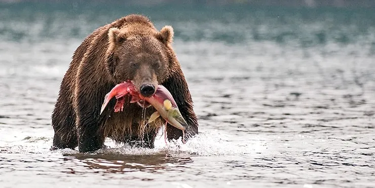 Imagen cabecera post