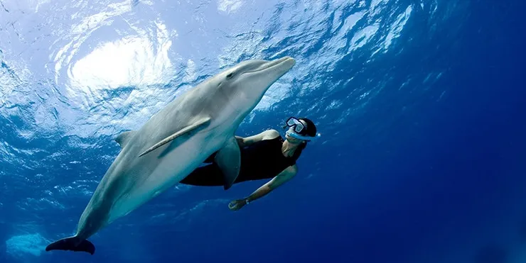 Imagen cabecera post