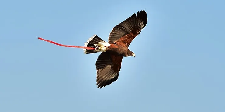 Imagen cabecera post