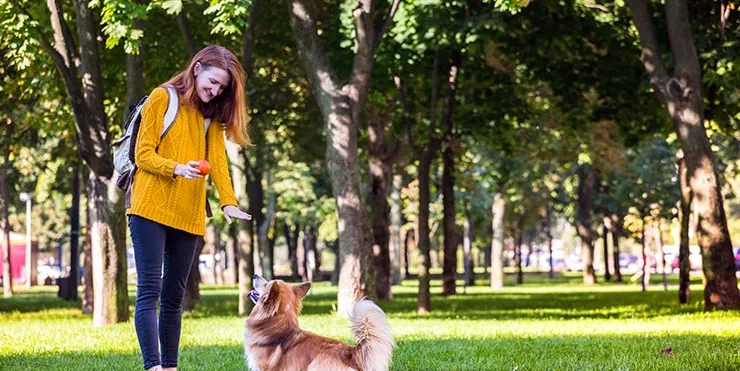 Imagen cabecera post