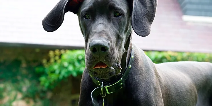 Imagen cabecera post