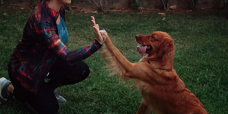 Imagen cabecera post