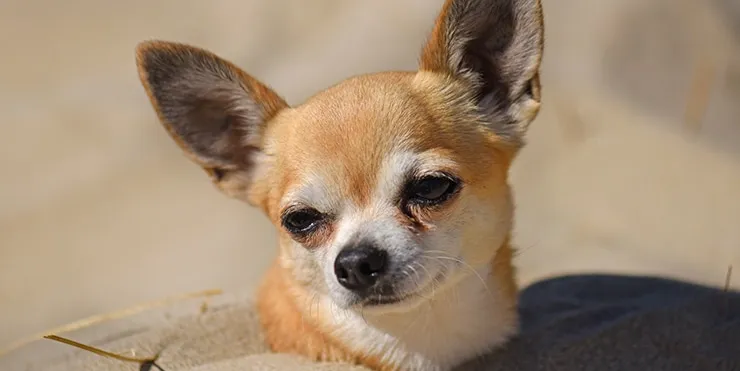 Imagen cabecera post