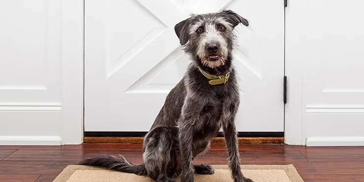 Imagen cabecera post