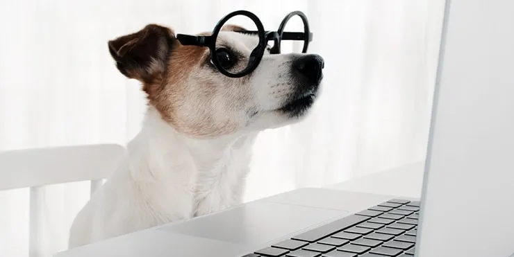 Imagen cabecera post