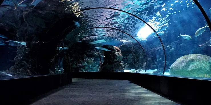 Imagen cabecera post