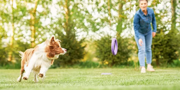 Imagen cabecera post