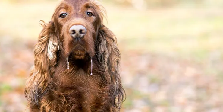 Imagen cabecera post