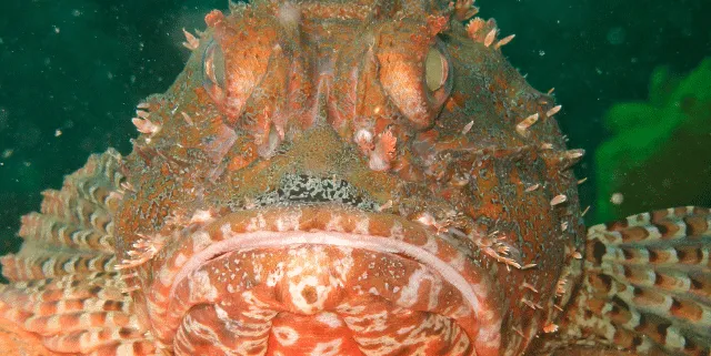 Imagen cabecera post