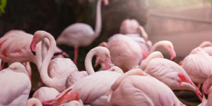 Imagen cabecera post