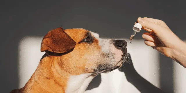 Imagen cabecera post