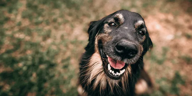 Imagen cabecera post