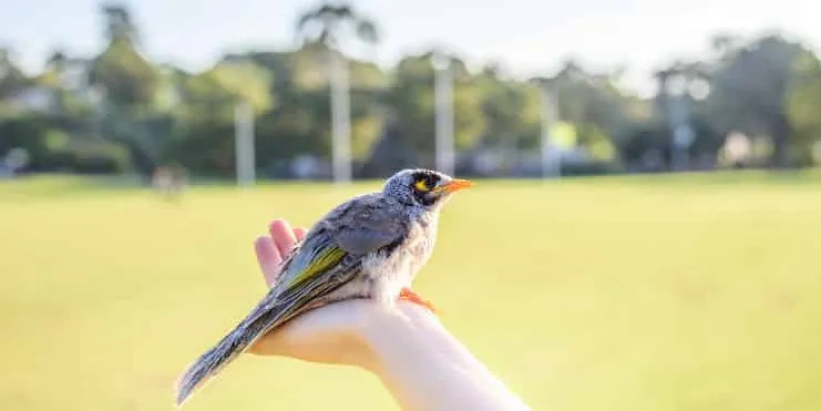 Imagen cabecera post