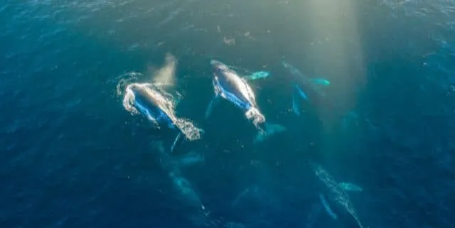 Imagen cabecera post