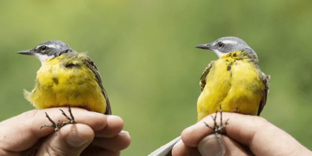 Imagen cabecera post