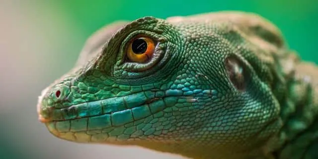 Imagen cabecera post