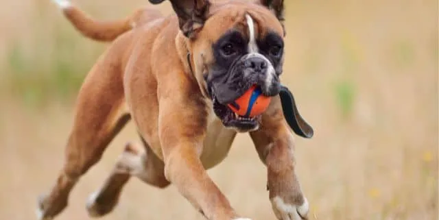 Imagen cabecera post