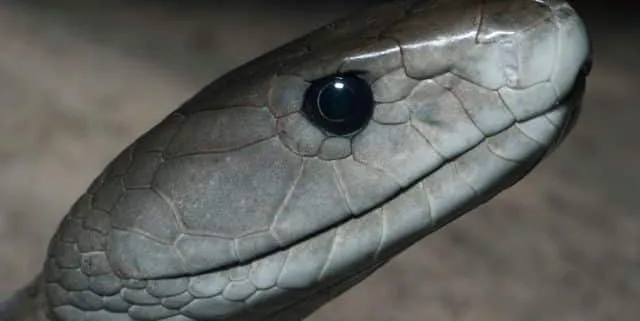 Imagen cabecera post